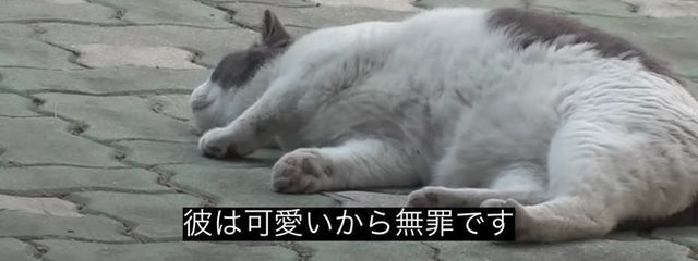 七瀬 七海さんの壁紙画像