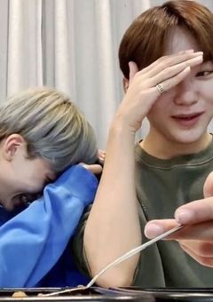 猫になりました。