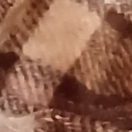 ほろさんのアイコン画像