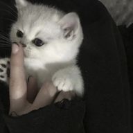 柚奈さんのアイコン画像