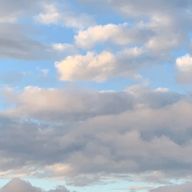 さくさんのアイコン画像