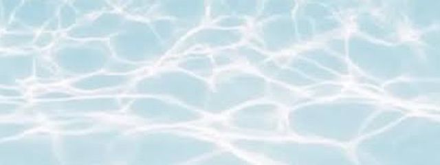 ponzuさんの壁紙画像
