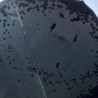 しゅがーぐみさんのアイコン画像