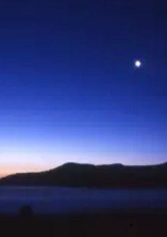 夜、嘘の輪郭をなぞる