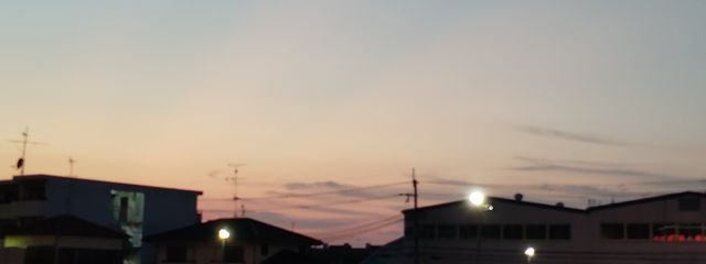 🏐けもり🧡さんの壁紙画像