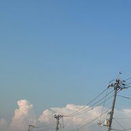 儚さんのアイコン画像