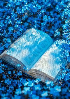 　✷　Nj34 . 短編集