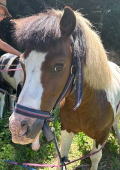 専用部屋( ^ω^ )