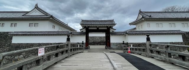 紗羅さんの壁紙画像