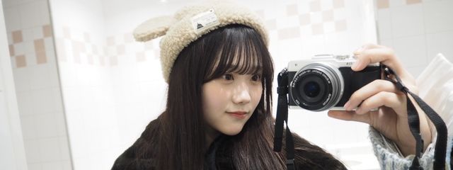 絶滅危惧種のちょこさんの壁紙画像