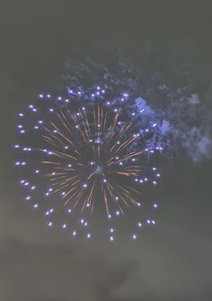夏休み限定