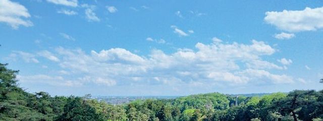 にっとぼー #ポジティブ第一財団 #おバカ連合さんの壁紙画像