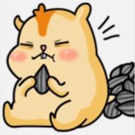せなさんのアイコン画像