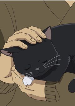 世界的有名な猫、元黒の組織でした