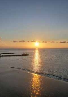 ヴィラン連合になったオリキャラ