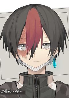 ヒロアカ轟家夢主