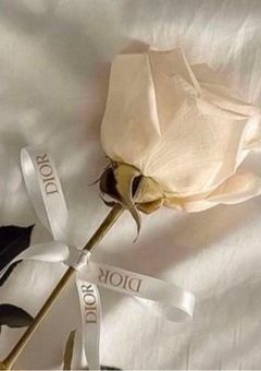 That single white rose...