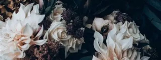 宵夏🍏 ぺあ画中~さんの壁紙画像