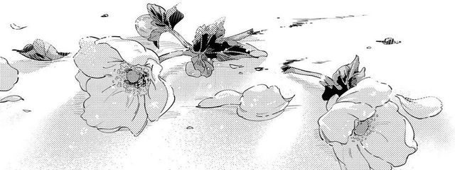 星凪さんの壁紙画像