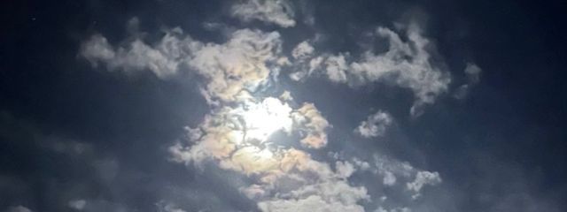 いつきさんの壁紙画像