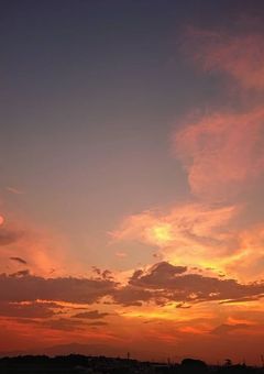 死にたがりやの君と＿＿＿