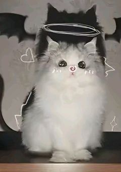 ใใใใใใฎใ่ฉฑ้จๅฑ