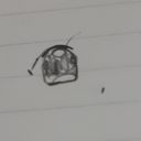 推しといたい