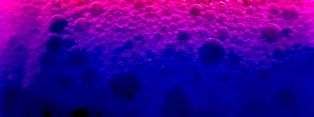 いかさんの壁紙画像