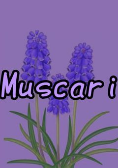 「Muscari」グループ共有共同垢