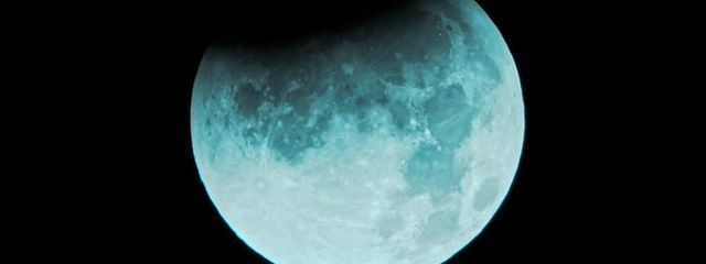 🫧⛄️Niko⛄️🫧さんの壁紙画像