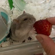 るぅ🥺さんのアイコン画像