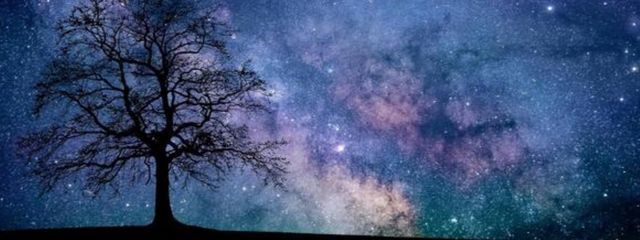 らゆ🍣🎨さんの壁紙画像