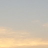 みるきーさんのアイコン画像