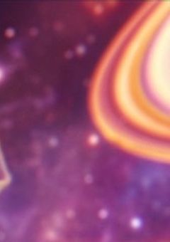 白い羽と黒い羽〈引き継ぎ〉