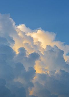 白尾さんの記録帳 ( BL短編集 )