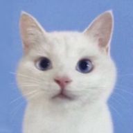 しんぞうさんのアイコン画像