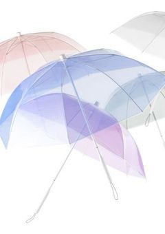 妖精の君と人間の俺、恋は難しい？