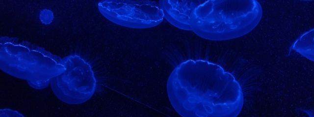 yunaさんの壁紙画像