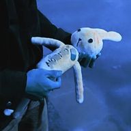 cocoro＊さんのアイコン画像