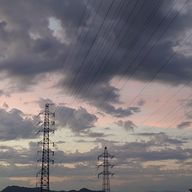 せいさなさんのアイコン画像