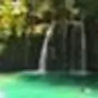 vvvさんのアイコン画像