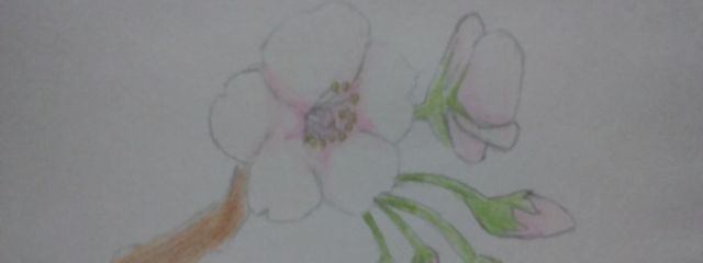 湊斗さんの壁紙画像