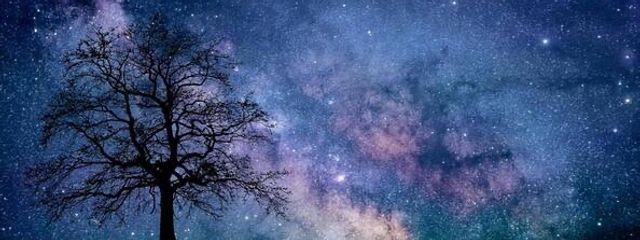 なな ⋆⋆🌙·̩͙‪⋆͛さんの壁紙画像