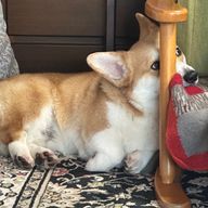 ななちぇさんのアイコン画像