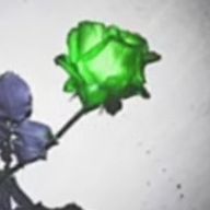 綾瀬さんのアイコン画像