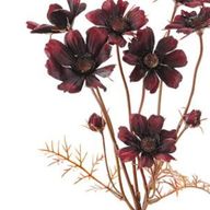 Rei_22さんのアイコン画像