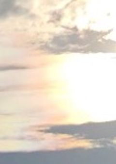 【参加型】この世界から逃れるには?