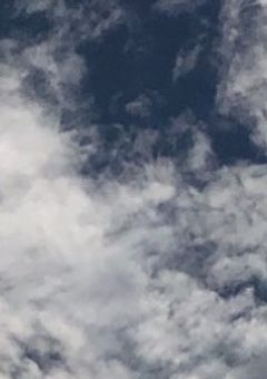 【参加型】俺達の運命は?