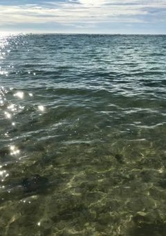 僕の家族