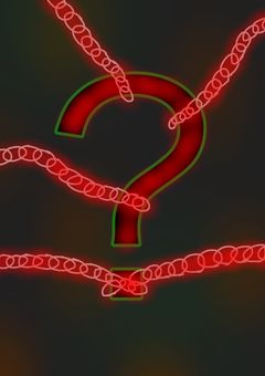 刻に導かれた花